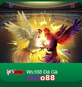 hello88